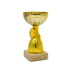 500572golddoublecuptrophy2.jpg