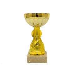 500572golddoublecuptrophy3.jpg