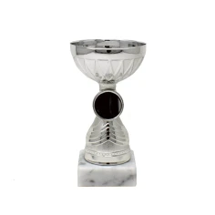 500573silverdoublecuptrophy1.jpg