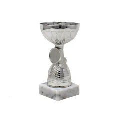 500573silverdoublecuptrophy2.jpg