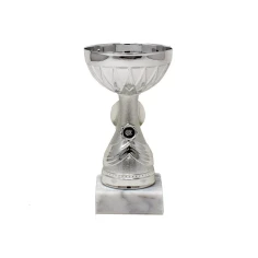 500573silverdoublecuptrophy3.jpg