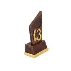 500584_bronze_no_3_trophy_2.jpg